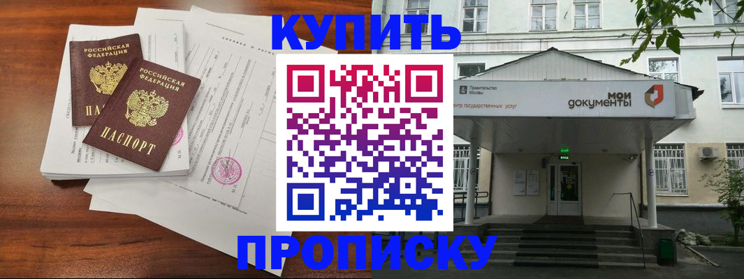 прописка для школы в Волгоградской области